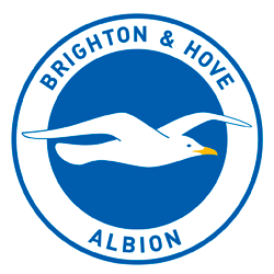 Brighton and Hove Albion FC - badge